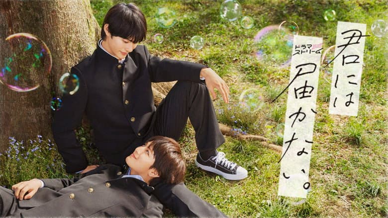 Kimi ni wa Todokanai