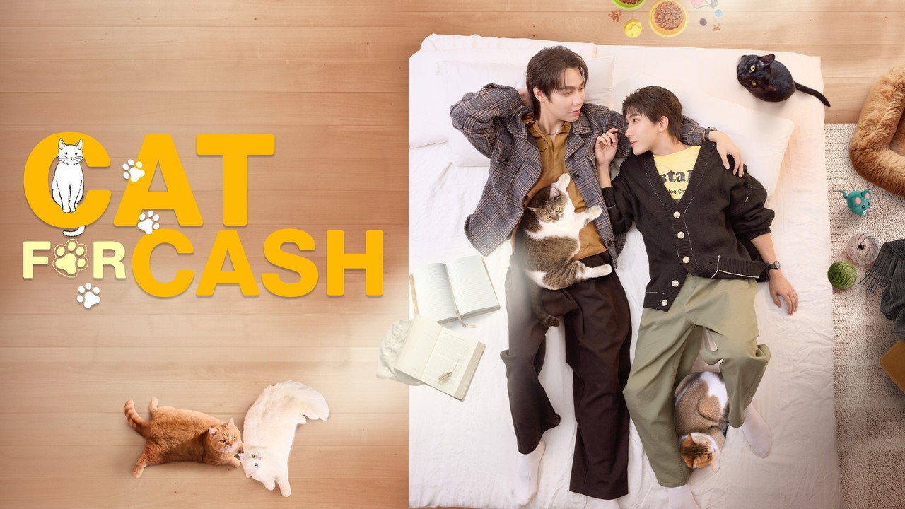 Cat for Cash 1