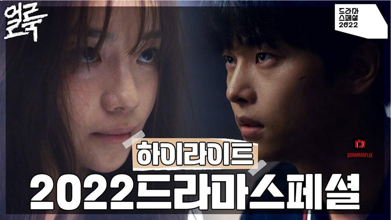 Drama Special Season 13: Stain (2022)