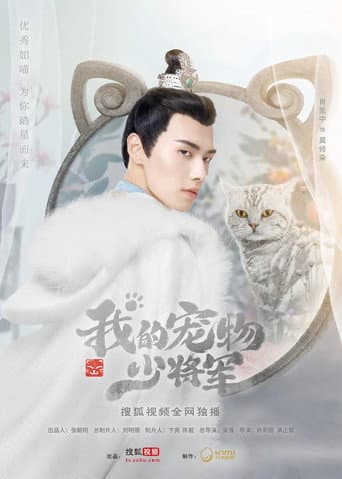Be My Cat 1